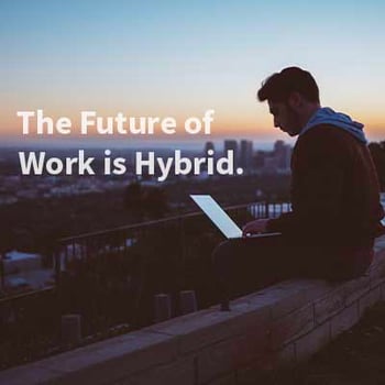 hybrid newsletter