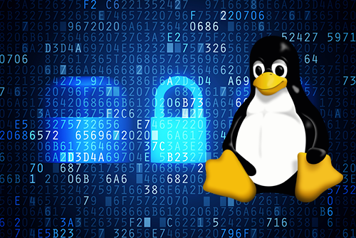 linux_with_secure_background